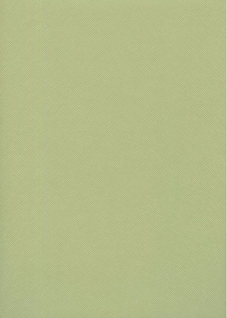 Simili cuir Opal vert tilleul (70x100)