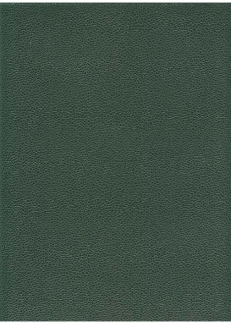 Skivertex "Gros Galuchat" (20x138) vert foncé