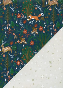 Recto verso "les animaux de la foret / les étoiles" (68x98)