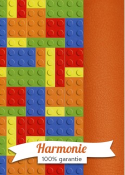  HARMONIE DUO Jeux de construction LEGO®