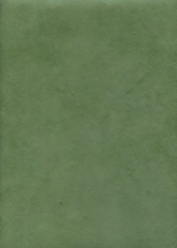 Papier lokta verveine (50x75)