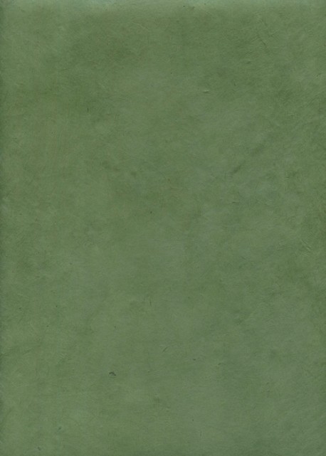 Papier lokta verveine (50x75)