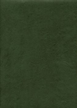 Papier lokta vert empire (50x75)