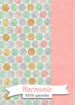 HARMONIE DUO Hexagones tons pastels