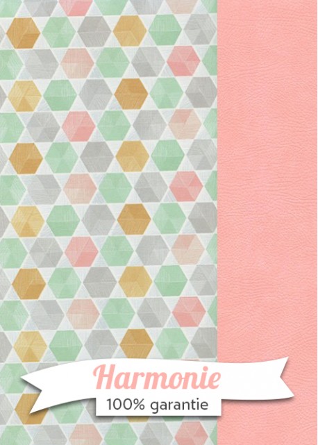 HARMONIE DUO Hexagones tons pastels