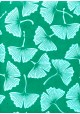 Lokta feuilles de Ginkgo biloba fond vert (50x75)