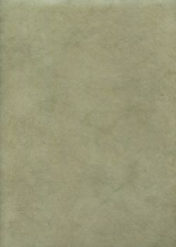 Papier lokta vert de gris (50x75)