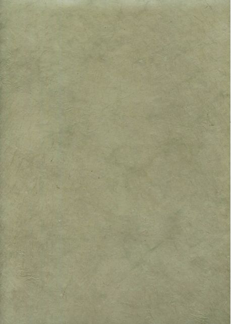 Papier lokta vert de gris (50x75)