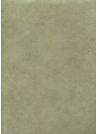 Papier lokta vert de gris (50x75)