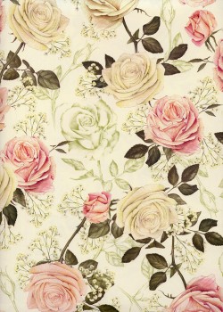 Roses et gypsophiles (70x100)