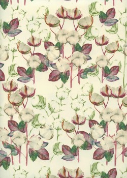 Les fleurs de coton (70x100)