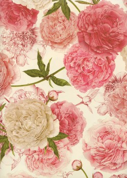 Les oeillets roses (70x100)