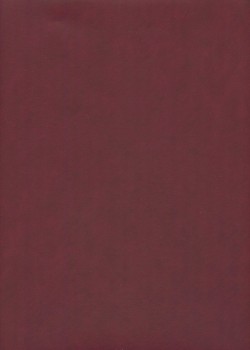 Papier imitation cuir "mat" rouge (50x65)