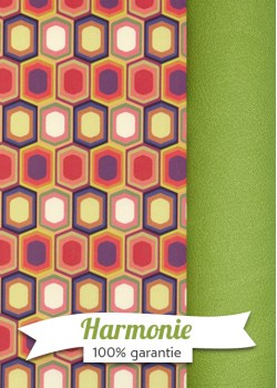 HARMONIE DUO Hexagones rétro rouges et bleus