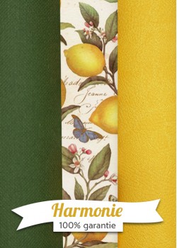 HARMONIE TRIO Les citrons sur fond d'écriture