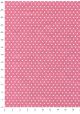 Pois écru fond rose (50x70)