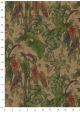 Plantes tropicales fond kraft (50x69,5)
