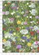 Le jardin sauvage (50x70)