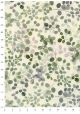 Les branches d'eucalyptus (70x100)