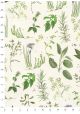 Les herbes aromatiques (70x100)