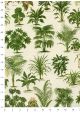 Les plantes vertes (70x100)