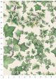 Feuille de lierre (70x100)