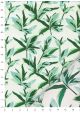 Feuillage ambiance verte sur fond blanc (50x70)