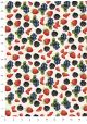 Les petits fruits (70x100)