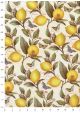 Les citrons sur fond d'écritures et papillons (50x68)