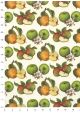 Variétés de pommes (70x100)