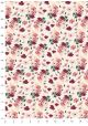 Anémones 2 tons rose (70x100)
