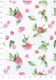 "Botanica" les roses (50x70)