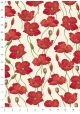 Coquelicot (70x100)
