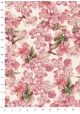 Fleurs de pêcher (70x100)