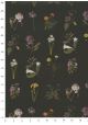 Herbier fond noir (50x70)