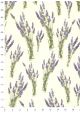 Lavande en bouquet (70x100)