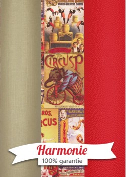 HARMONIE TRIO Le monde du cirque