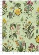 Planche botanique fond vert tendre (70x100)