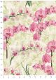 Orchidée rose (70x100)