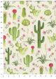 Pêle-mêle de cactus (70x100)