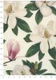 Fleurs de magnolia (70x100)