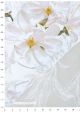 Recto verso "Magnolia blanc / floral blanc et gris" (68x98)