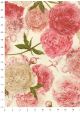 Les pivoines (70x100)