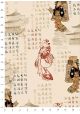 Asie le Japon (70x100)