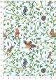 Les aventures de Robin (50x70)