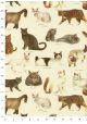 Races de chats (70x100)