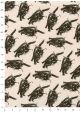 Les chats noirs fond naturel (50x70)