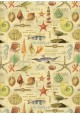 L'univers de la mer (50x68)
