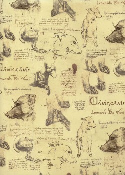 Les chiens d'après Léonard De Vinci (50x68)