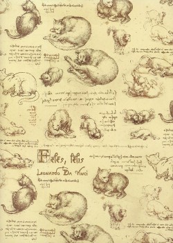 Les chats d'après Léonard De Vinci (50x68)